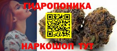 молекула духа Донской
