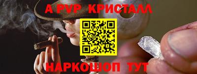 молекула духа Донской