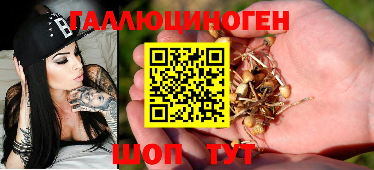 Псилоцибиновые грибы Cubensis Минусинск