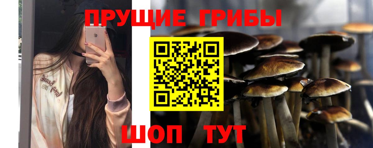 Галлюциногенные грибы GOLDEN TEACHER  Вход с VPN  Минусинск 